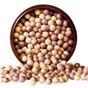Perles poudre bronzante scintillante Sunny Bronze